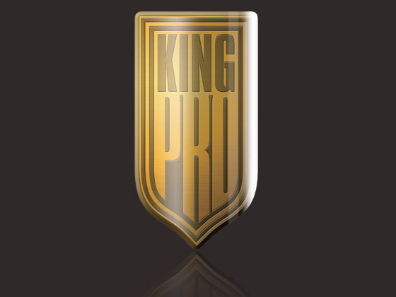 擎普國際貿易有限公司