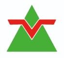恆翼國際股份有限公司