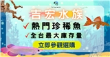 吉宏水族
