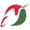 揚鶴國際股份有限公司