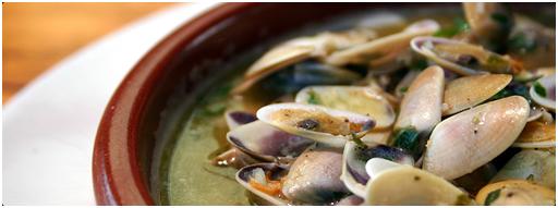 霧化背景圖片 霧化背景圖片