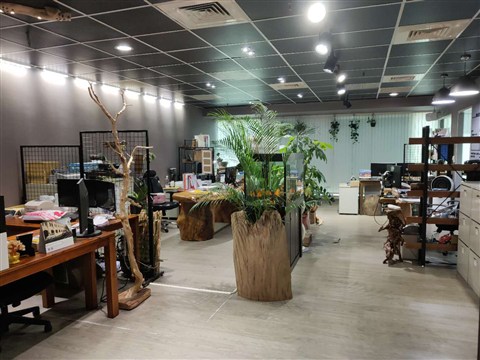霧化背景圖片