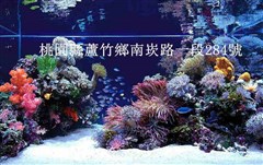 藍世界水族寵物城(親親水族館)環境/產品