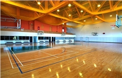 原木室內籃球場