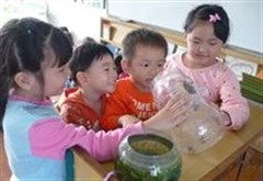 台南市私立大華幼兒園環境/產品