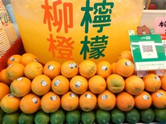 柳橙檸檬環境/產品