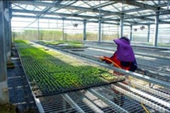 向陽農業生技股份有限公司環境/產品