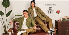 BSX