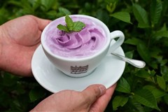 紫森林咖啡